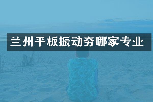 蘭州平板振動(dòng)夯哪家專業(yè)