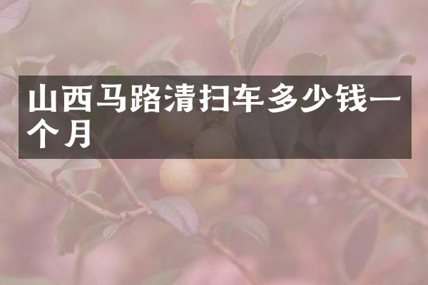 山西馬路清掃車(chē)多少錢(qián)一個(gè)月
