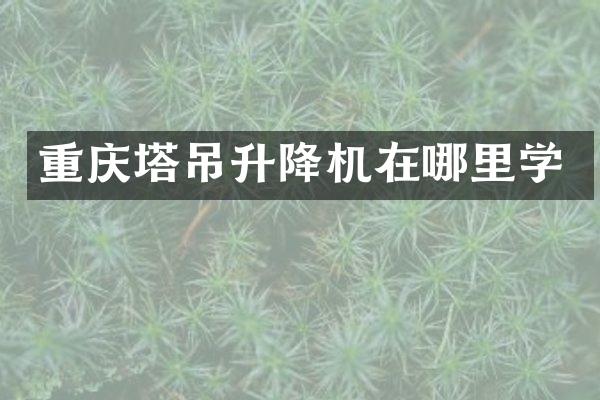 重慶塔吊升降機(jī)在哪里學(xué)