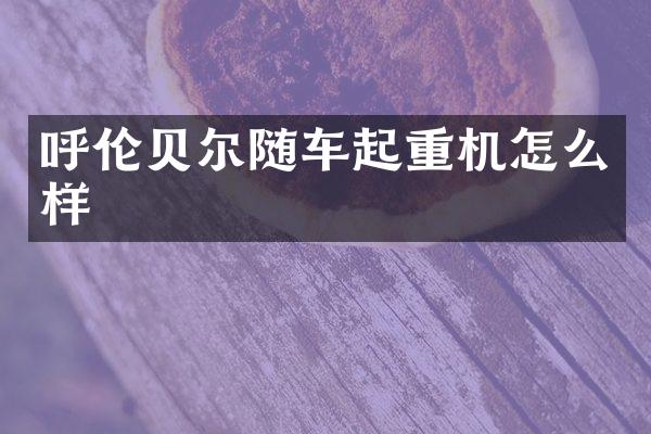 呼伦贝尔随车起重机怎么样