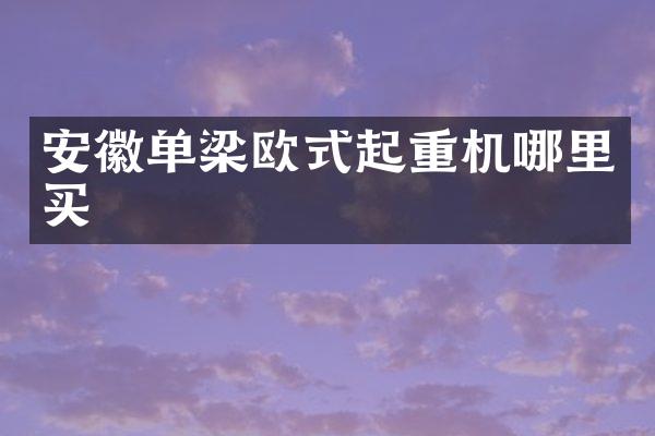 安徽單梁歐式起重機哪里買