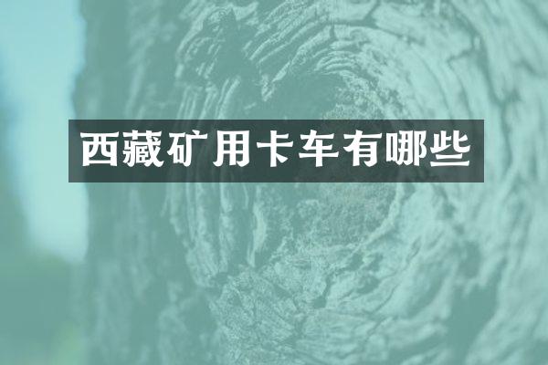 西藏礦用卡車有哪些