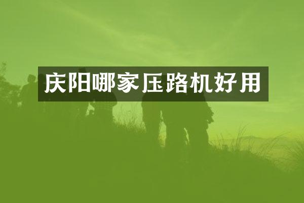 慶陽哪家壓路機(jī)好用