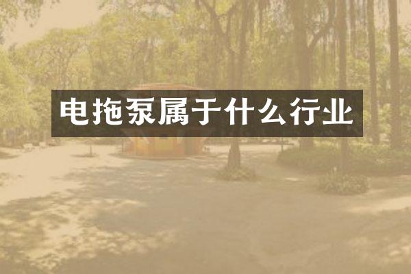 電拖泵屬于什么行業(yè)