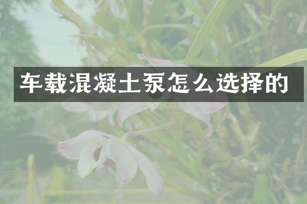車載混凝土泵怎么選擇的