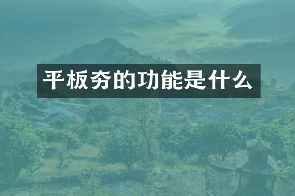 平板夯的功能是什么
