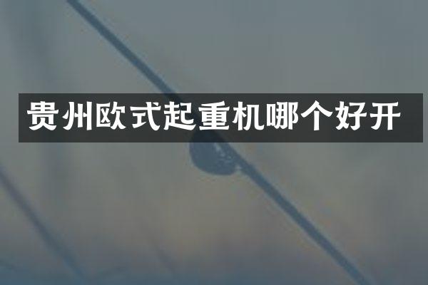 贵州欧式起重机哪个好开