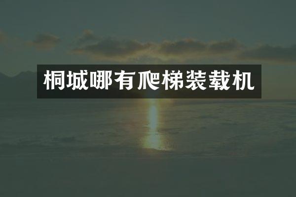 桐城哪有爬梯裝載機(jī)