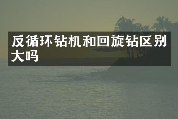 反循環(huán)鉆機(jī)和回旋鉆區(qū)別大嗎