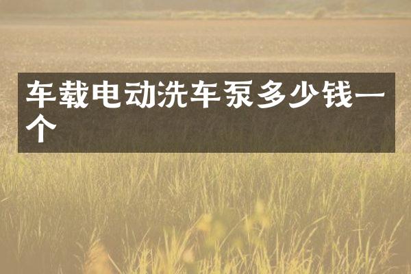 車載電動洗車泵多少錢一個