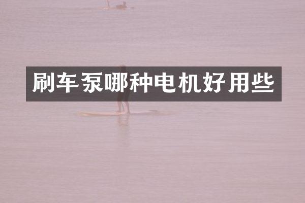 刷車泵哪種電機好用些