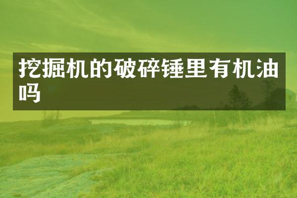 挖掘機的破碎錘里有機油嗎