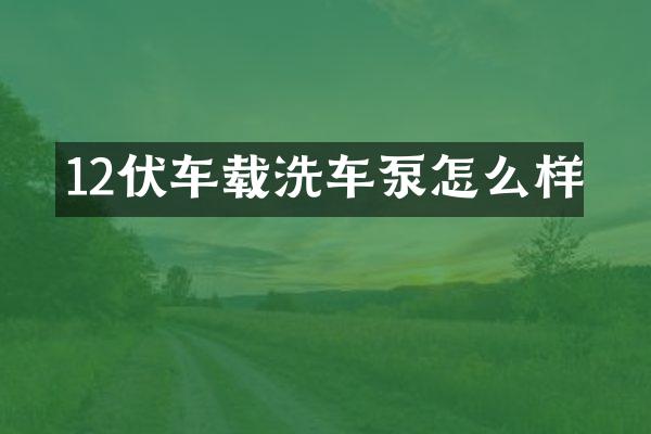 12伏车载洗车泵怎么样