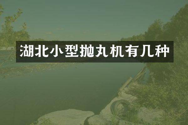 湖北小型拋丸機(jī)有幾種