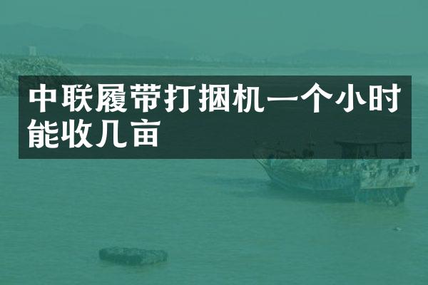 中聯(lián)履帶打捆機(jī)一個小時能收幾畝