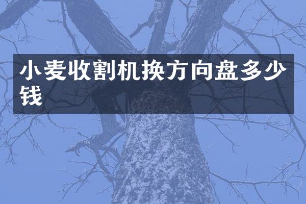 小麥?zhǔn)崭顧C換方向盤多少錢