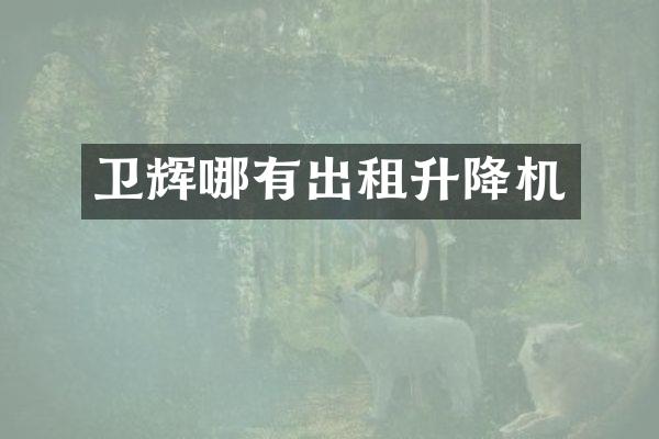 衛(wèi)輝哪有出租升降機(jī)