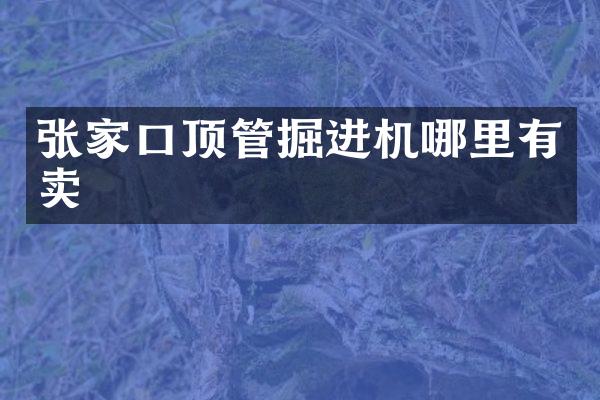 張家口頂管掘進(jìn)機(jī)哪里有賣(mài)