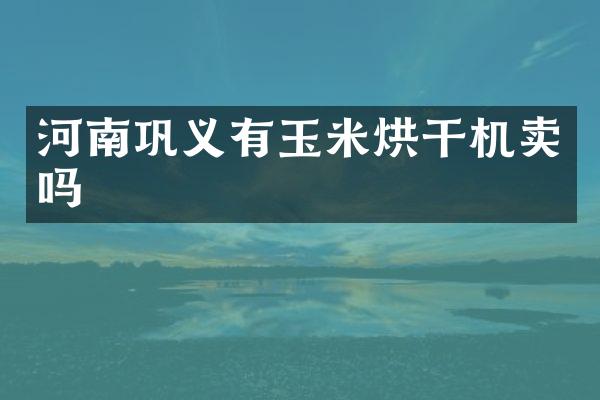 河南鞏義有玉米烘干機(jī)賣嗎