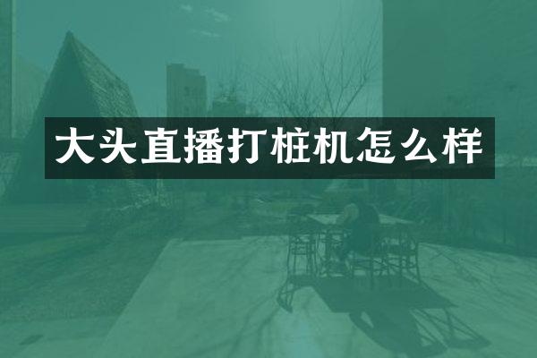 大头直播打桩机怎么样