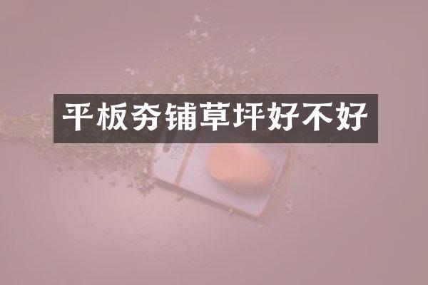平板夯铺草坪好不好