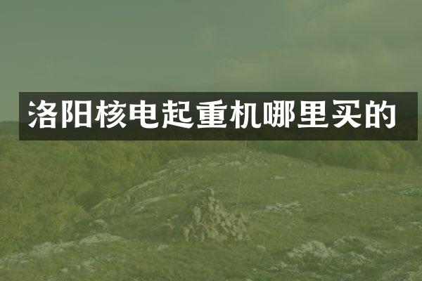 洛陽(yáng)核電起重機(jī)哪里買(mǎi)的