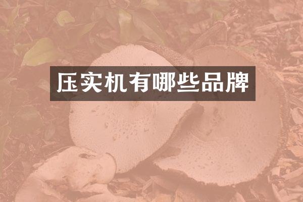 壓實(shí)機(jī)有哪些品牌