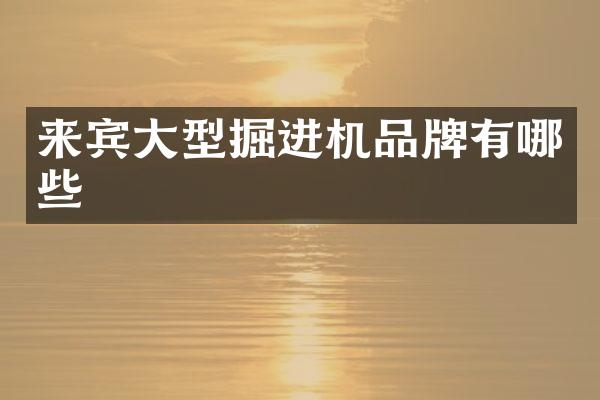 来宾大型掘进机品牌有哪些
