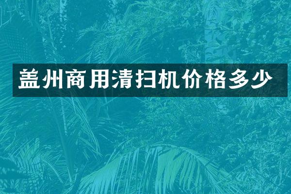 盖州商用清扫机价格多少