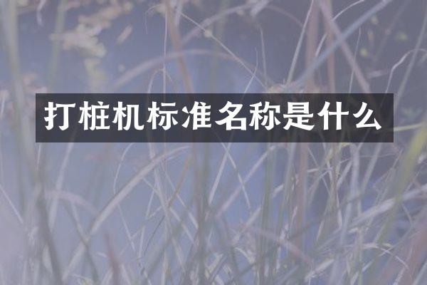 打桩机标准名称是什么