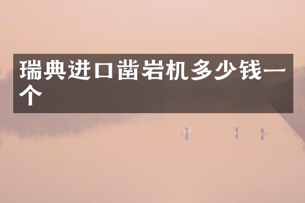 瑞典进口凿岩机多少钱一个