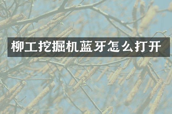 柳工挖掘機(jī)藍(lán)牙怎么打開