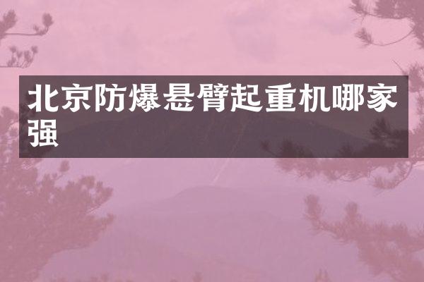 北京防爆懸臂起重機(jī)哪家強(qiáng)