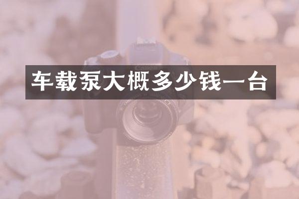 車載泵大概多少錢一臺