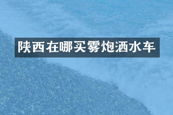 陜西在哪買霧炮灑水車