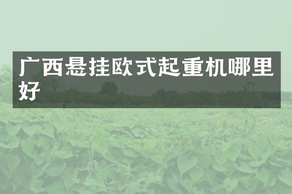 广西悬挂欧式起重机哪里好