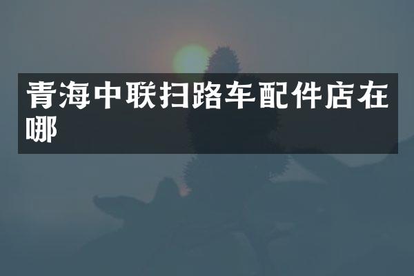 青海中聯(lián)掃路車配件店在哪
