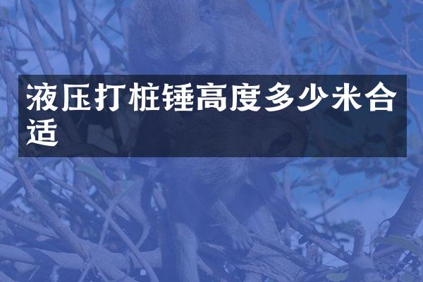 液压打桩锤高度多少米合适