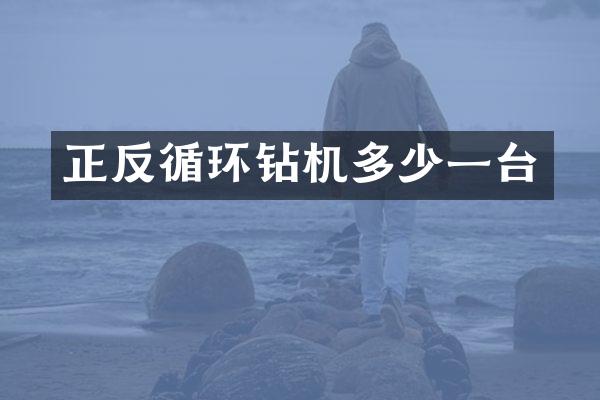 正反循环钻机多少一台