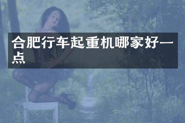 合肥行车起重机哪家好一点