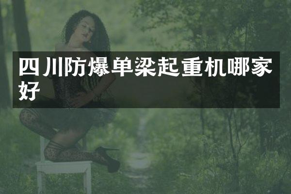四川防爆單梁起重機(jī)哪家好