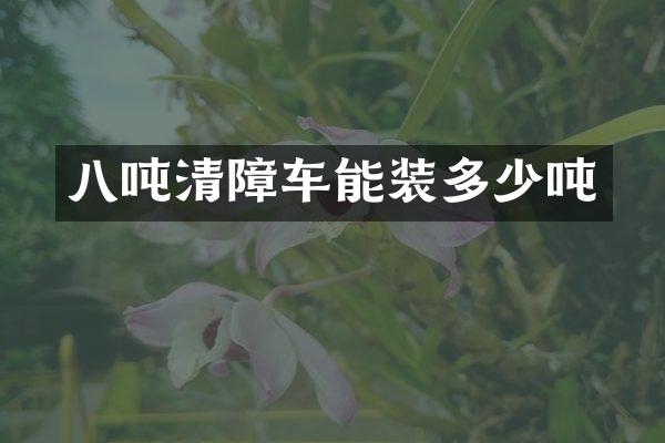 八吨清障车能装多少吨