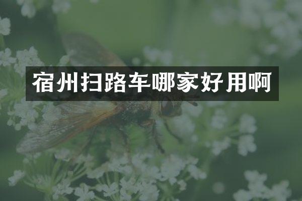 宿州扫路车哪家好用啊