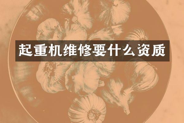 起重機(jī)維修要什么資質(zhì)