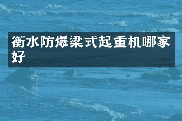 衡水防爆梁式起重機(jī)哪家好