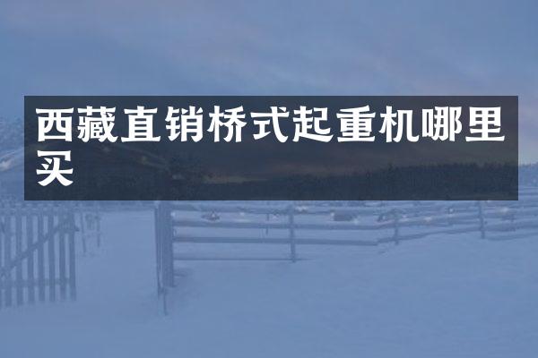 西藏直銷橋式起重機(jī)哪里買