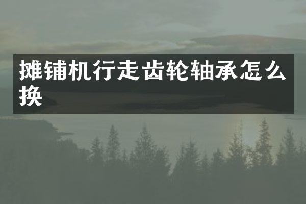攤鋪機(jī)行走齒輪軸承怎么換