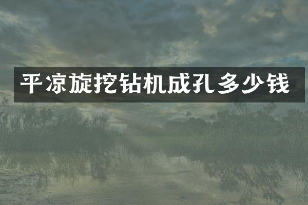 平凉旋挖钻机成孔多少钱