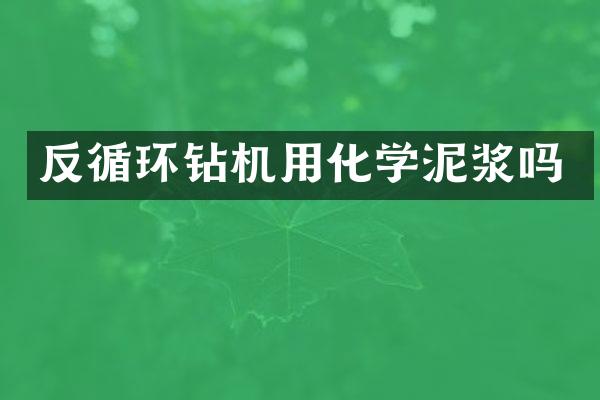 反循环钻机用化学泥浆吗