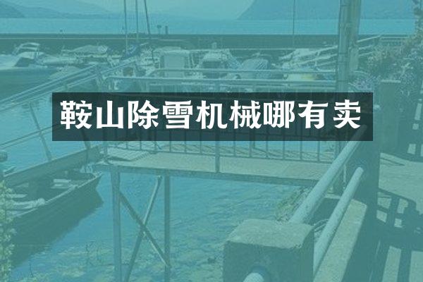 鞍山除雪机械哪有卖